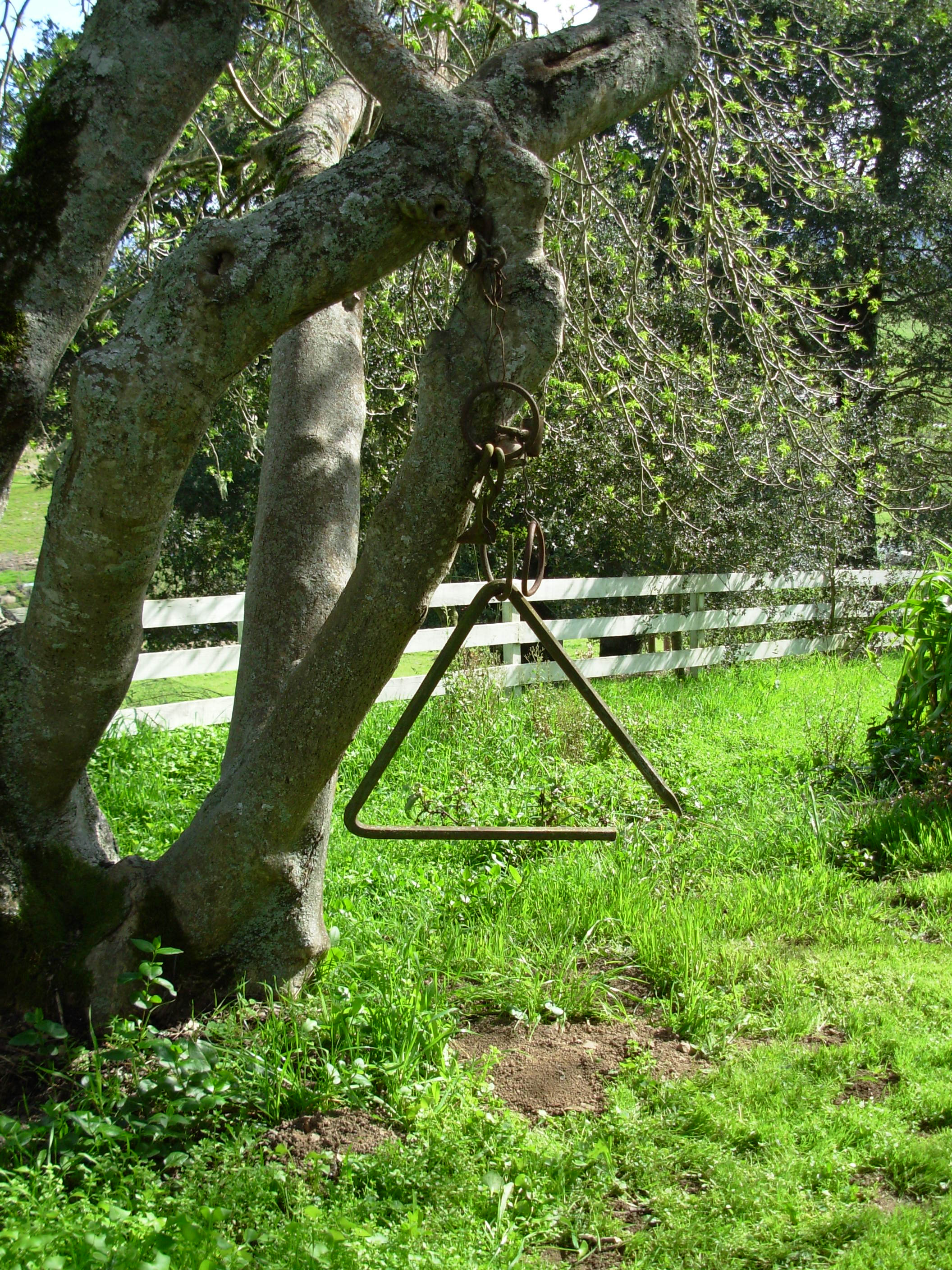 Triangletree | Slow Family